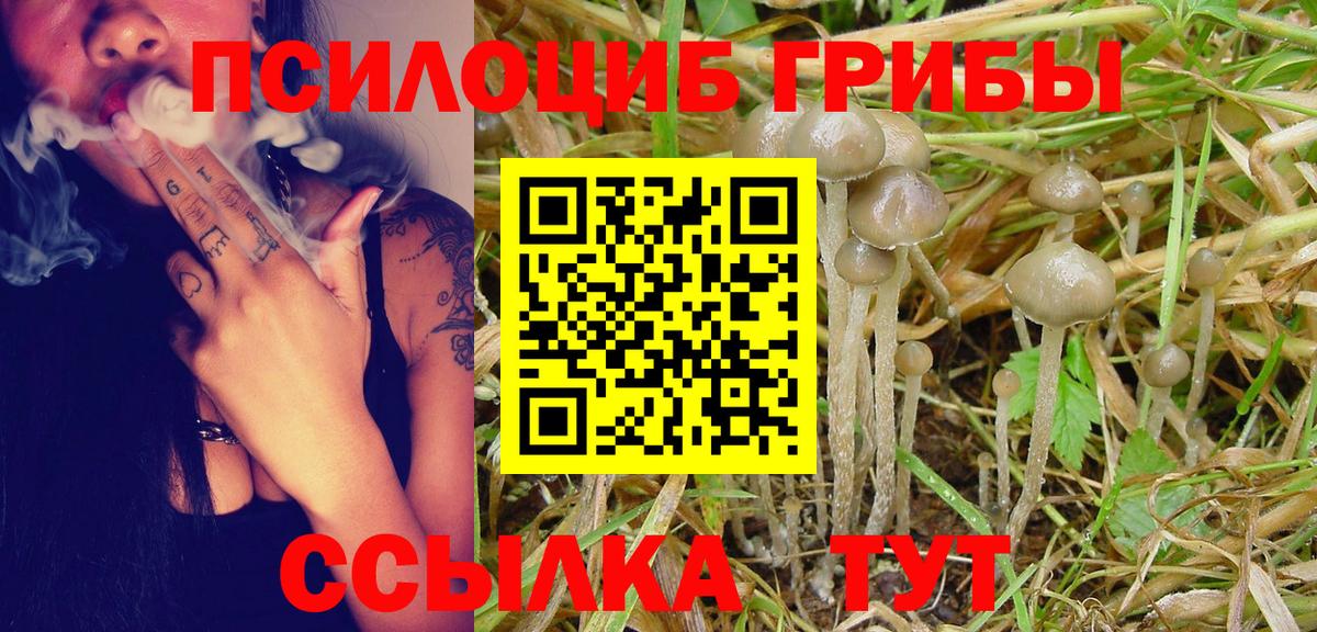 Галлюциногенные грибы MAGIC MUSHROOMS  Вход с VPN  Аша  Галлюциногенные грибы MAGIC MUSHROOMS 